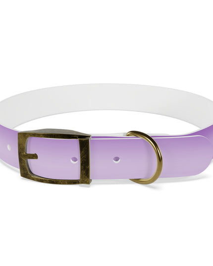 Soft Lavender Fade Large Dog Collar