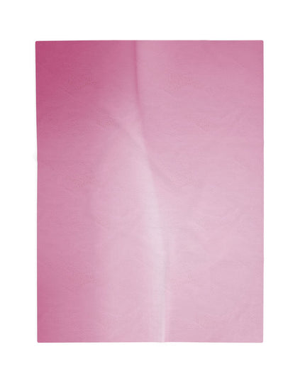 Pink Blush Fade Velveteen Plush Blanket, 30" x 40"