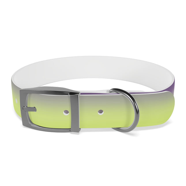 Purple Golden Fade Medium Dog Collar