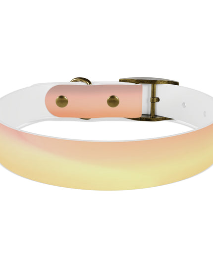 Hot Peach Fade Medium Dog Collar