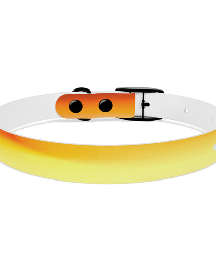 Phoenix Fade Small Dog Collar