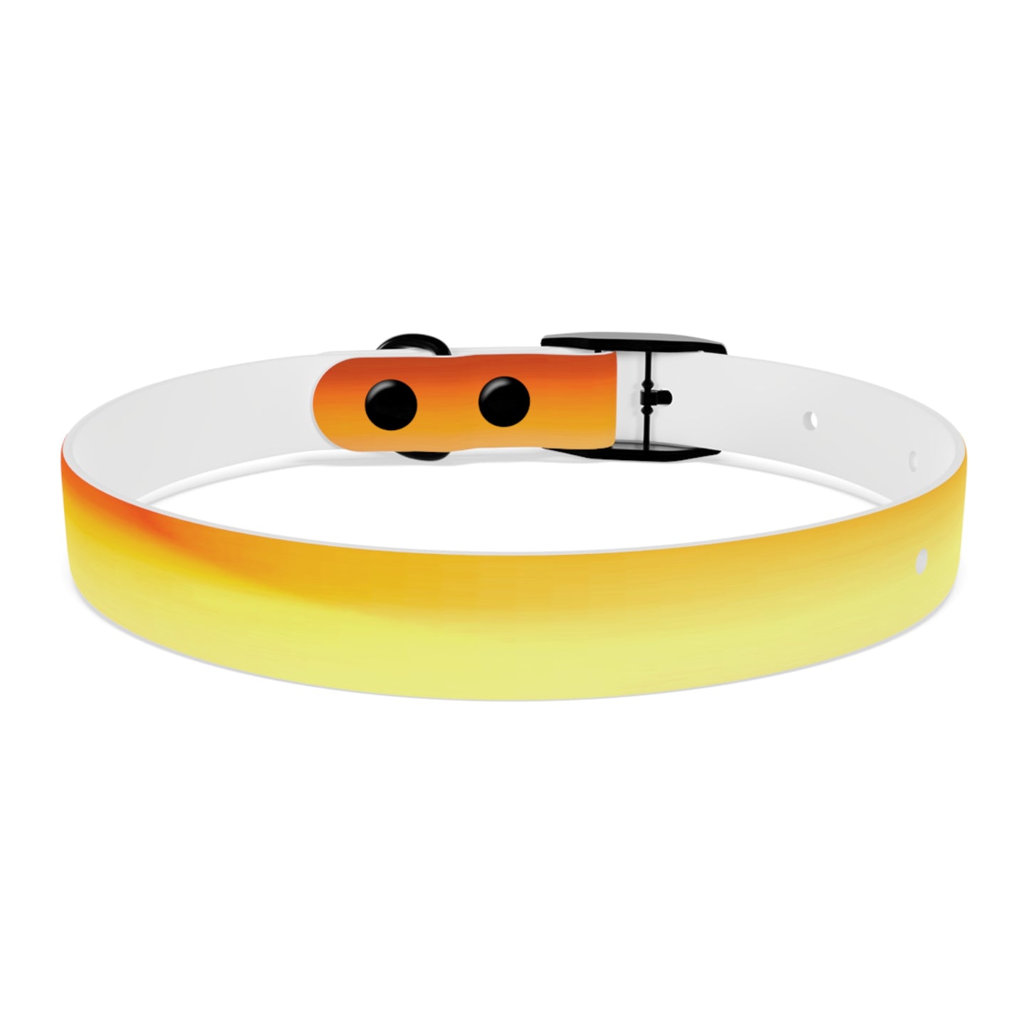 Phoenix Fade Small Dog Collar