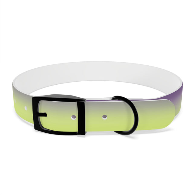 Purple Golden Fade Large Dog Collar