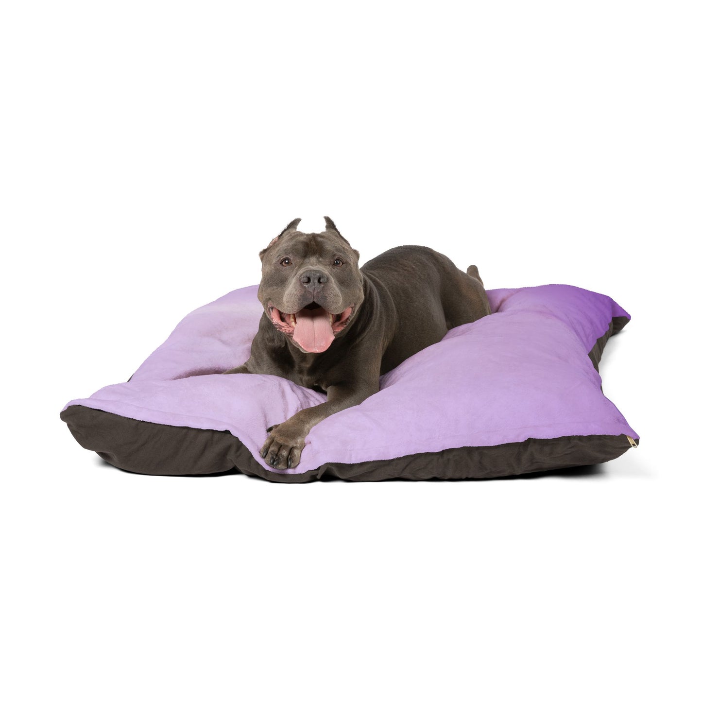 Soft Lavender Fade 50" × 40" Pet Bed