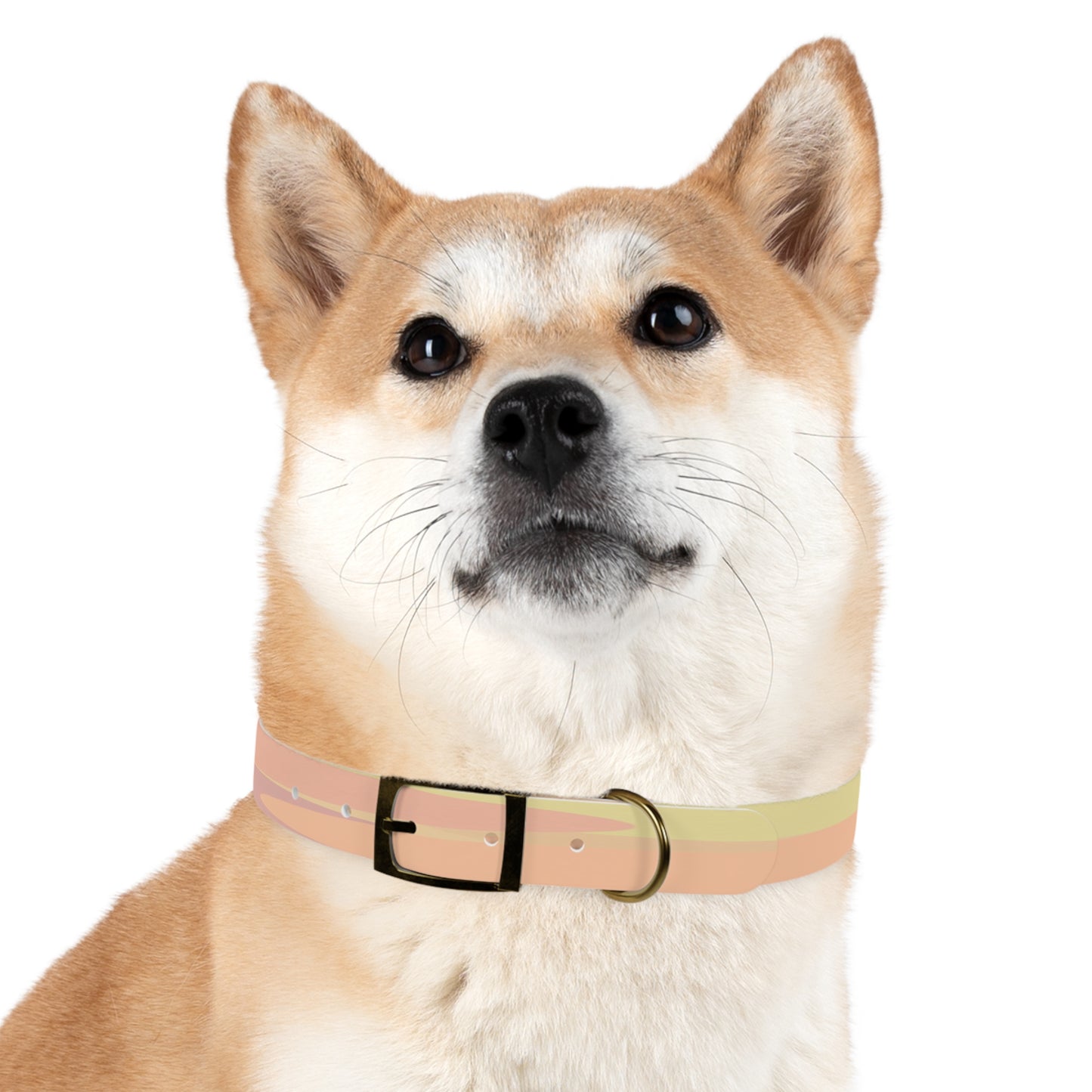 Pastel Hot Peach Patches Extra Large Dog Collar