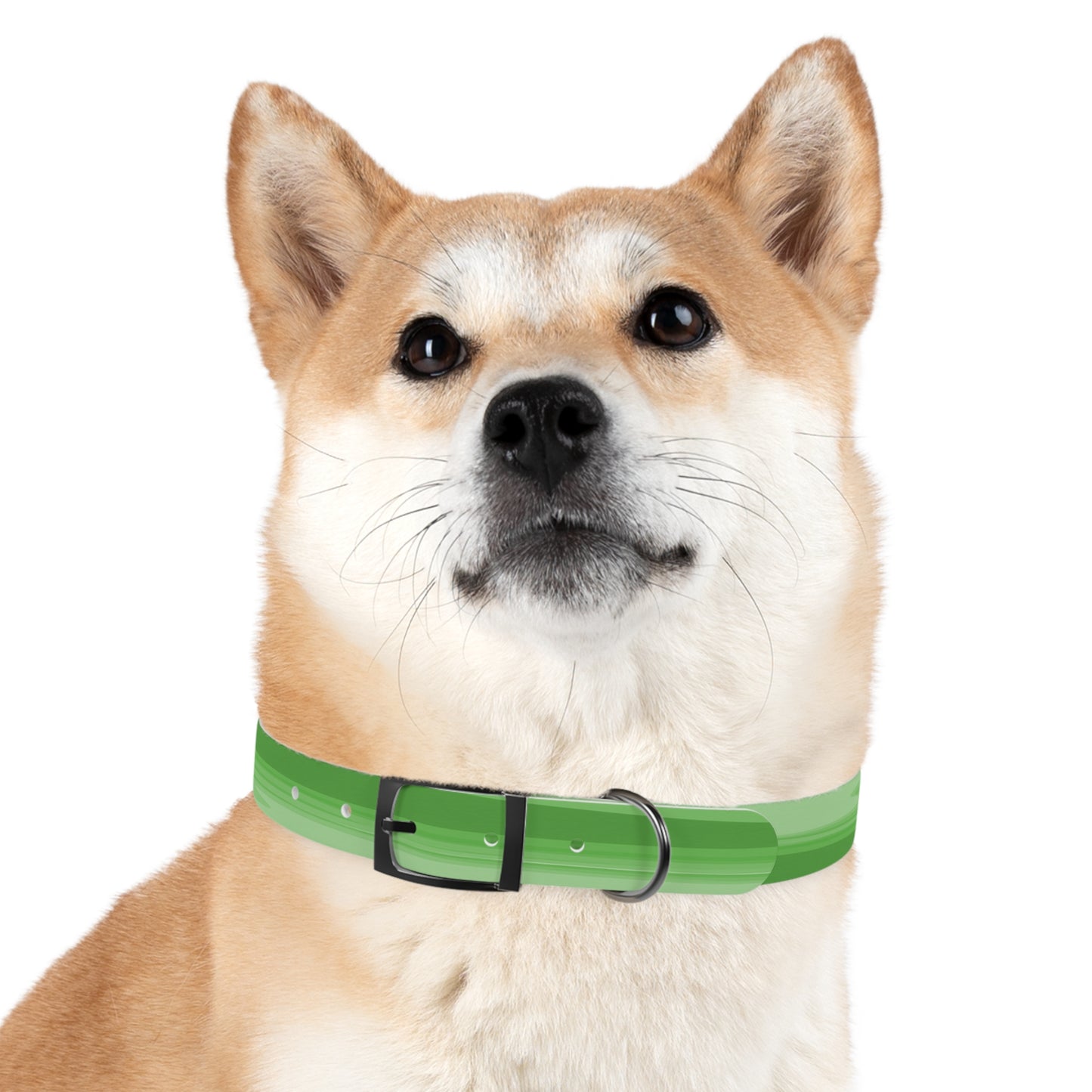 Greenie Meanie Wavey Extra Large Dog Collar