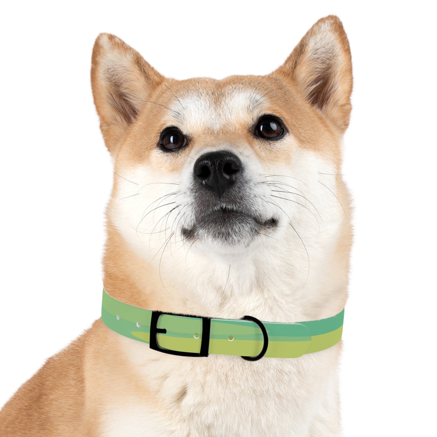 Pastel Green Patches Medium Dog Collar