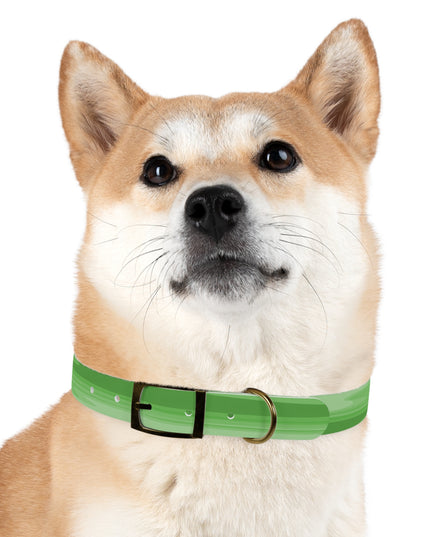 Greenie Meanie Wavey Large Dog Collar