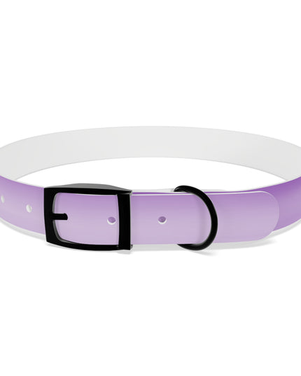 Soft Lavender Fade Extra Large Dog Collar