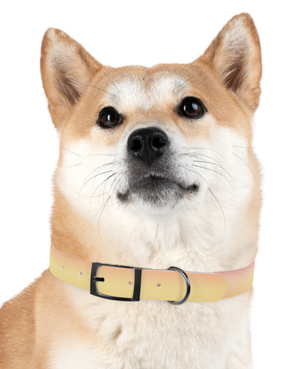 Hot Peach Fade Medium Dog Collar