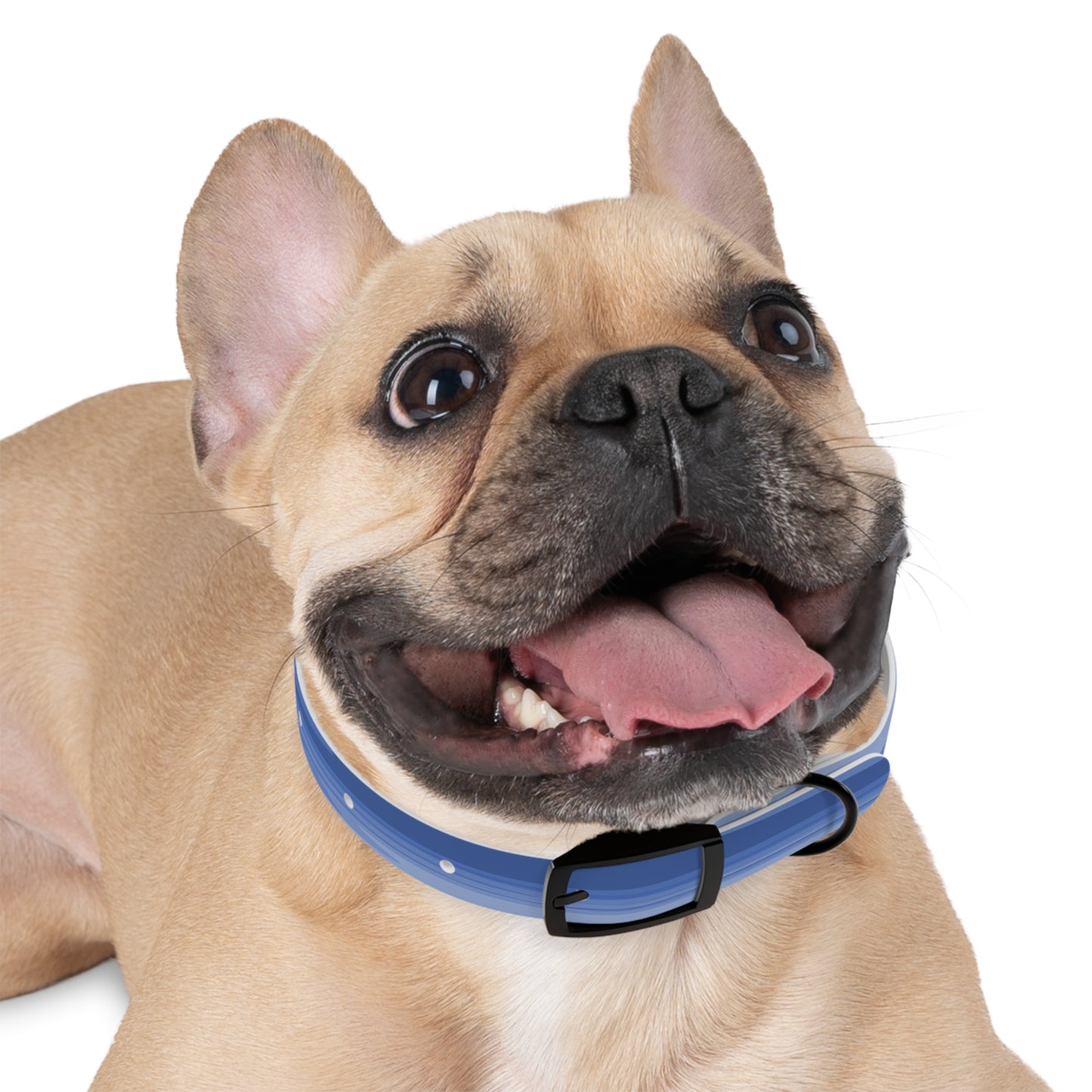 Deep Blue Wavey Small Dog Collar
