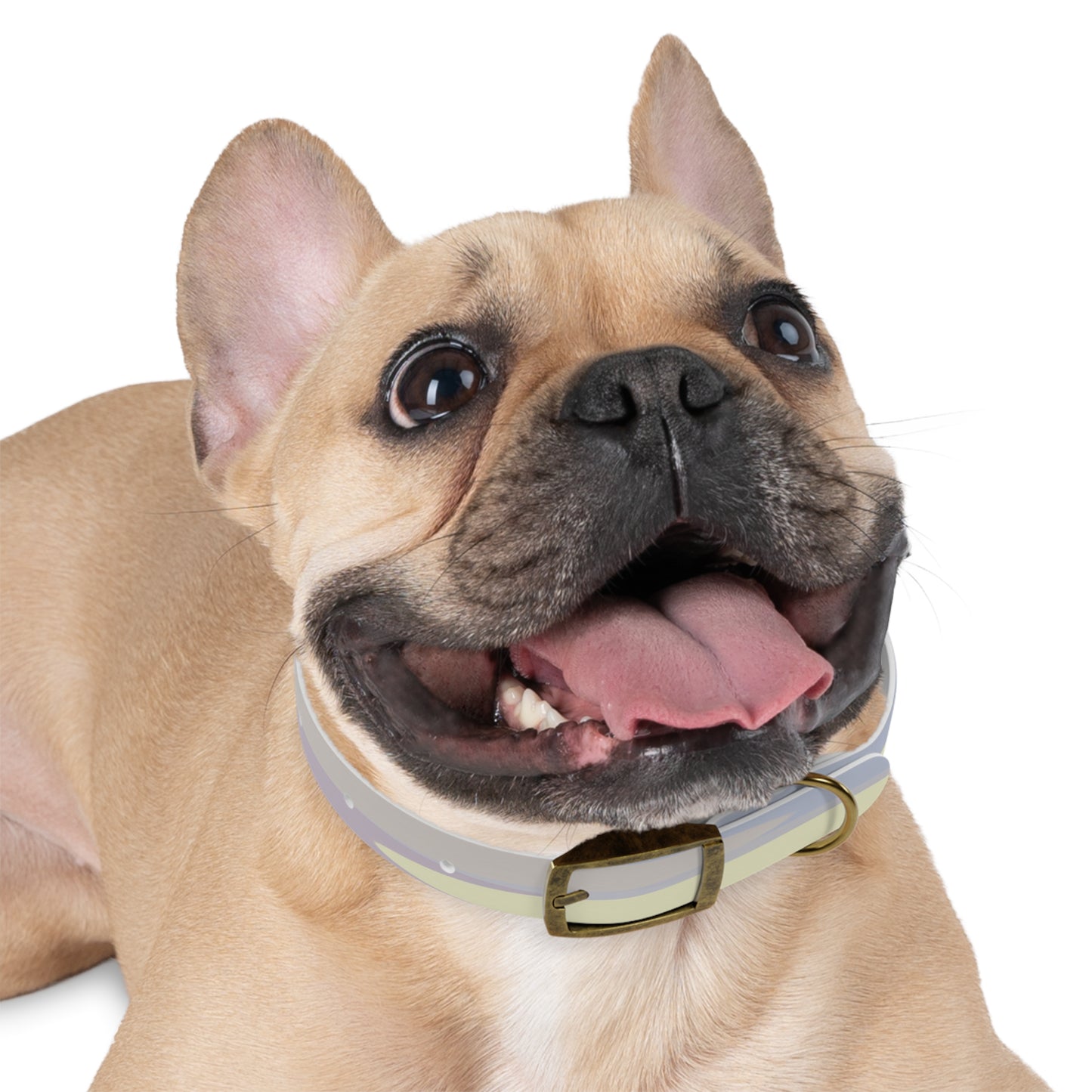 Pastel Soft Blue and Soft White Patches Small Dog Collar