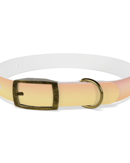 Hot Peach Fade Small Dog Collar