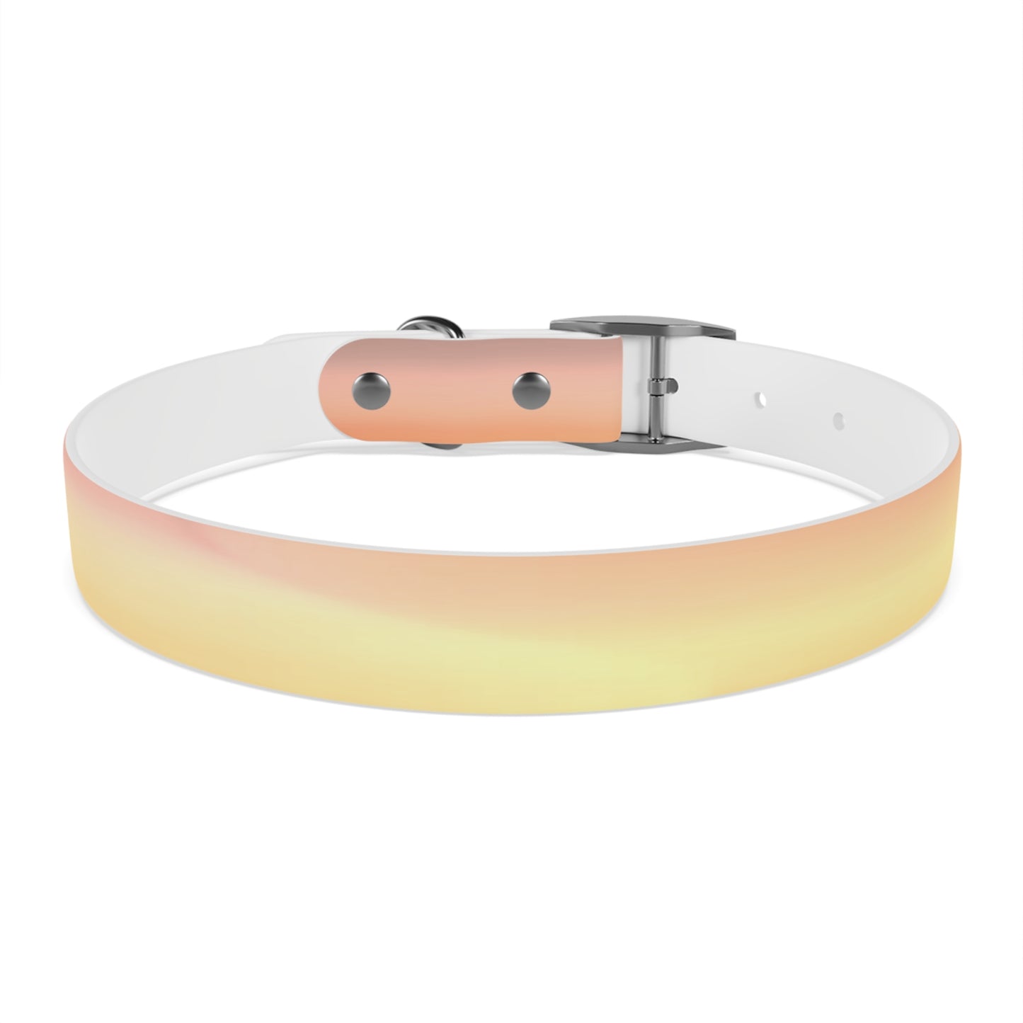 Hot Peach Fade Large Dog Collar