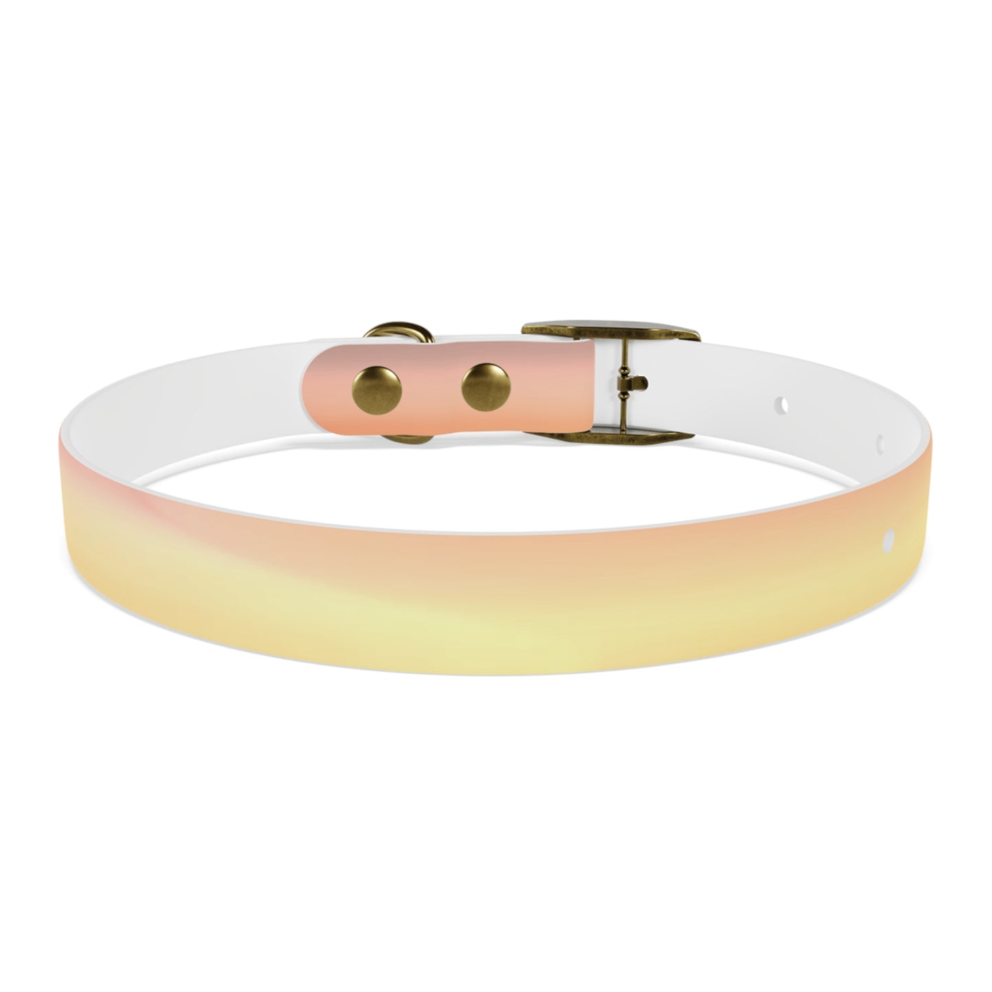 Hot Peach Fade Small Dog Collar