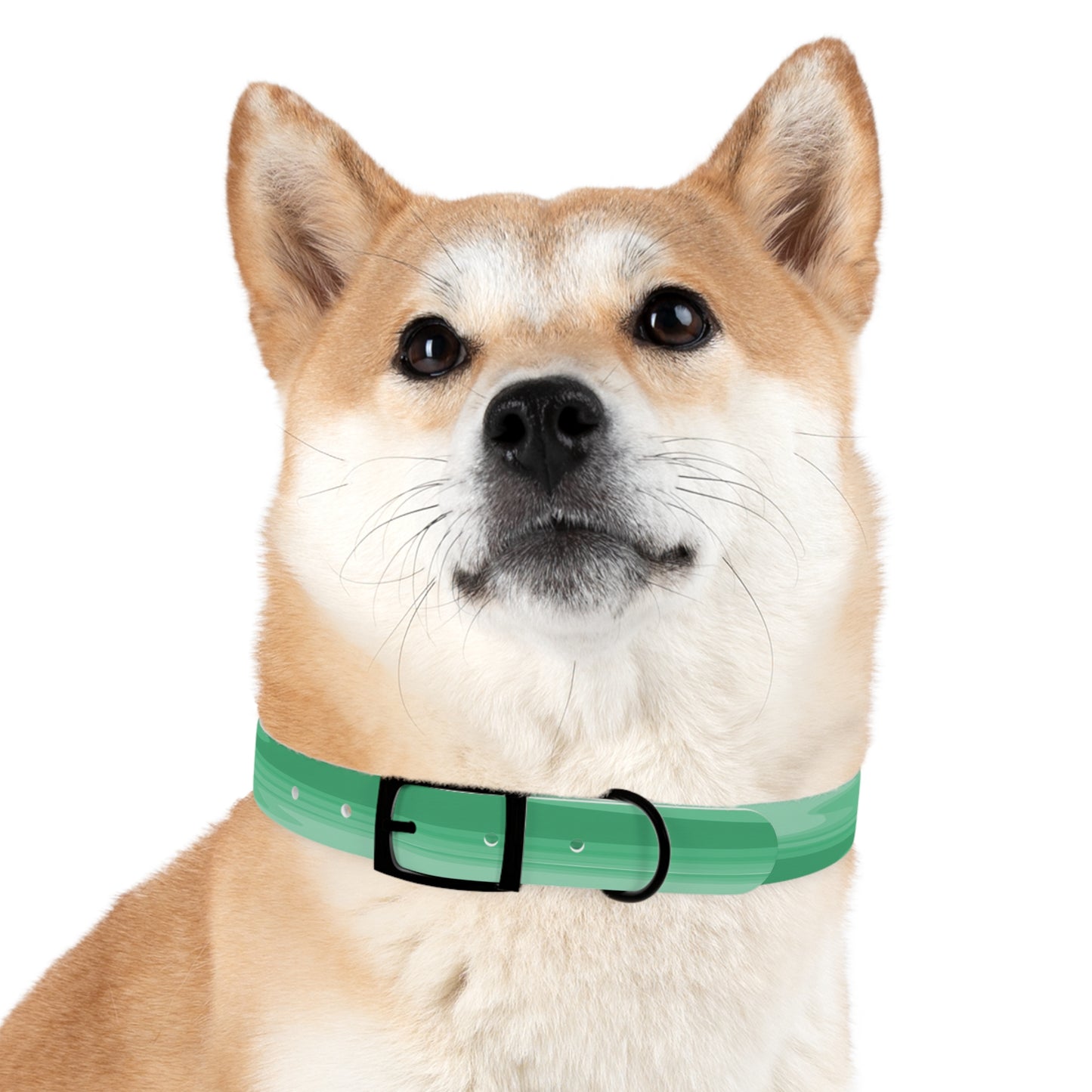 Mint Green Wavey Large Dog Collar