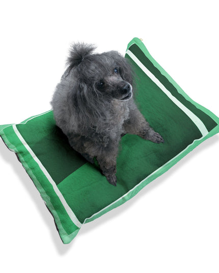 Mint Shadow 28" × 18" Pet Bed