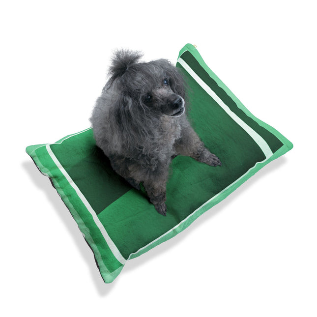 Mint Shadow 28" × 18" Pet Bed