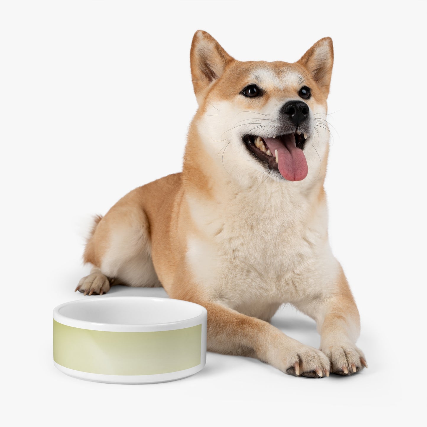 Lemon Fade 16 oz Pet Bowl