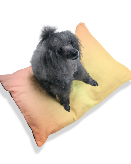 Hot Peach Fade 50" × 40" Pet Bed