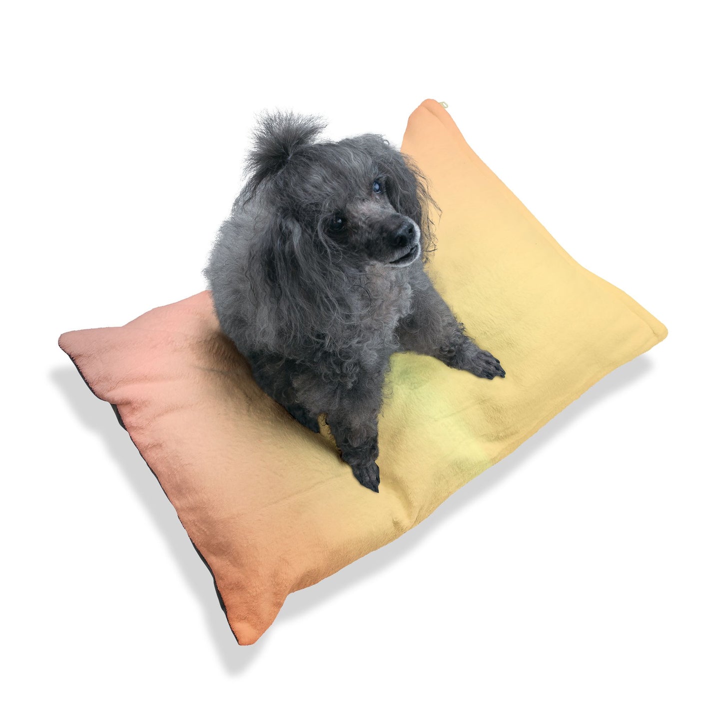 Hot Peach Fade 50" × 40" Pet Bed