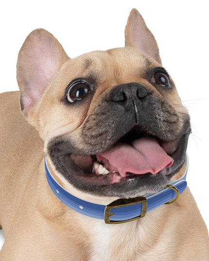 Deep Blue Wavey Small Dog Collar