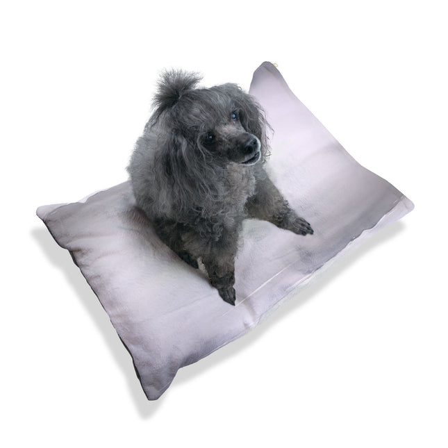 Sephia Sea Dark Fog 28" × 18" Pet Bed