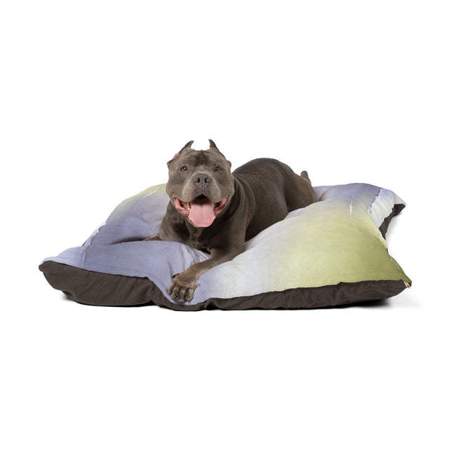 Lavender Sea Golden Fog 50" × 40" Pet Bed