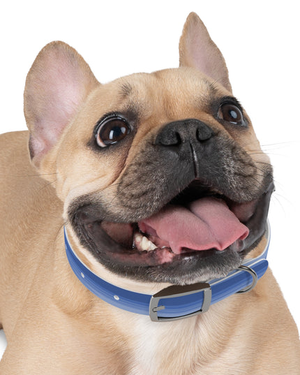 Deep Blue Wavey Small Dog Collar