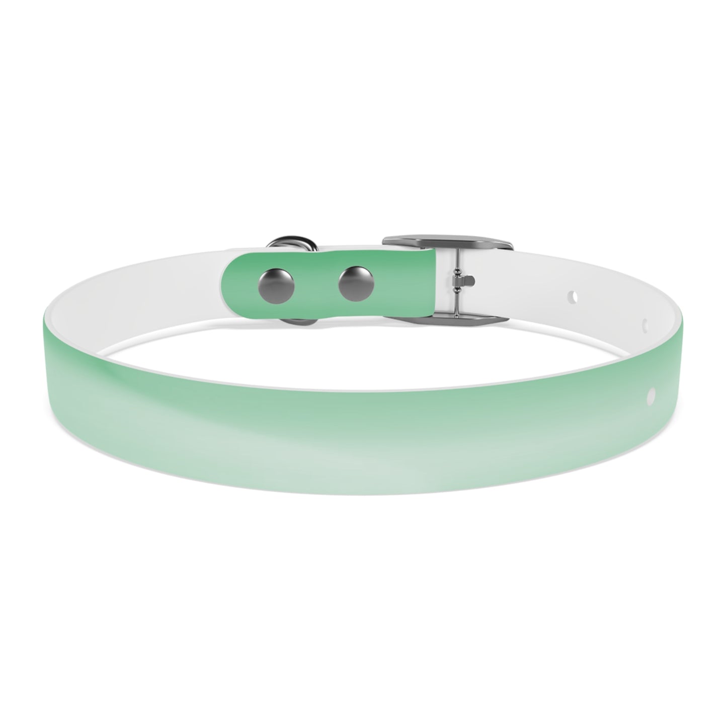 Mint Fade Small Dog Collar