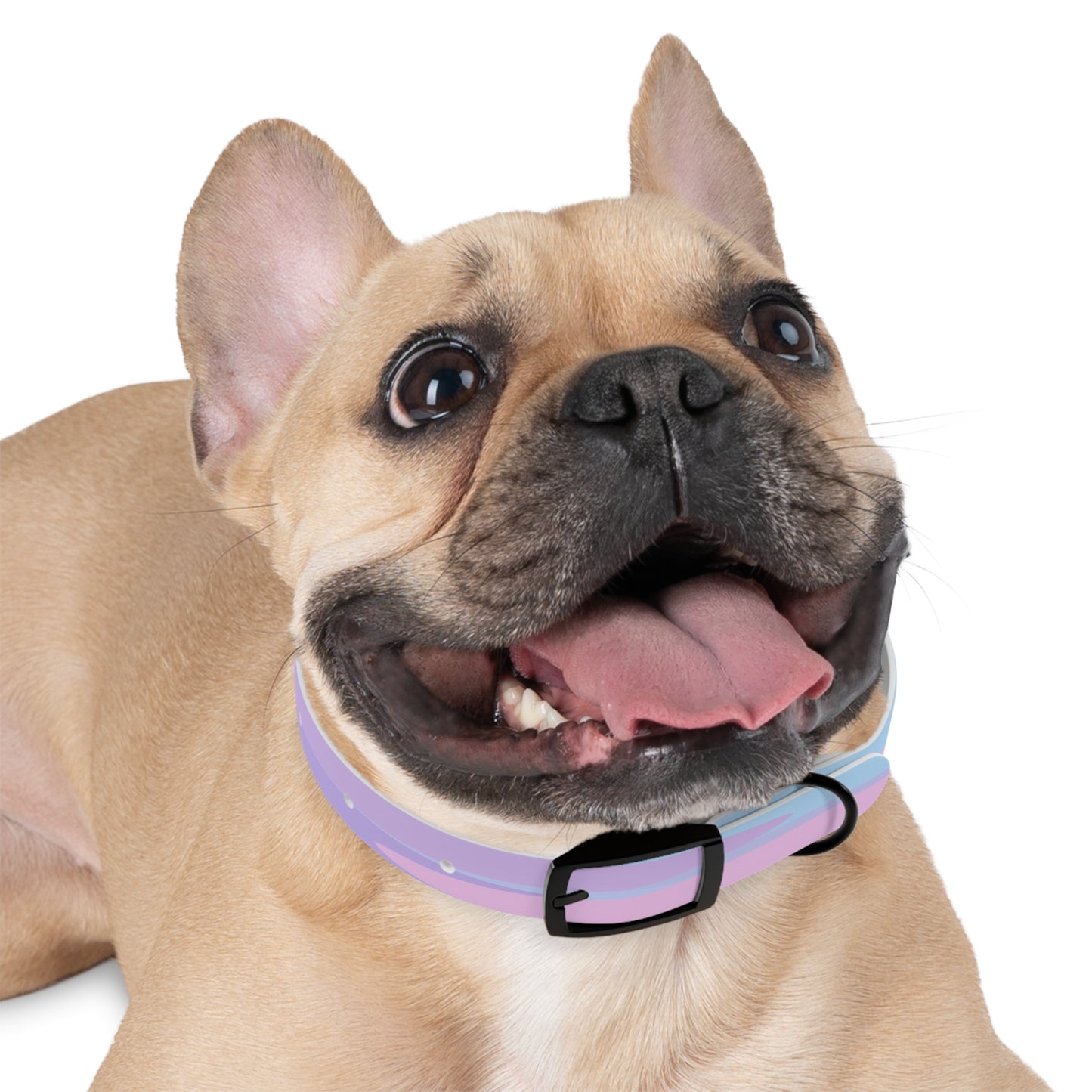 Pastel Purple and Mauve Patches Small Dog Collar