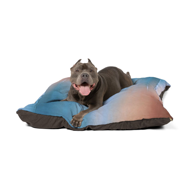Blue Sea Peach Fog 50" × 40" Pet Bed