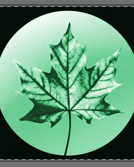 Mint Green Maple Leaf 22" x 22" Cotton Twill Napkin