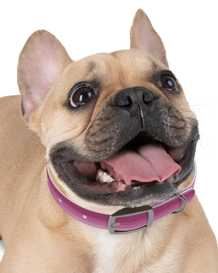 Wavey Purple Wavey Small Dog Collar