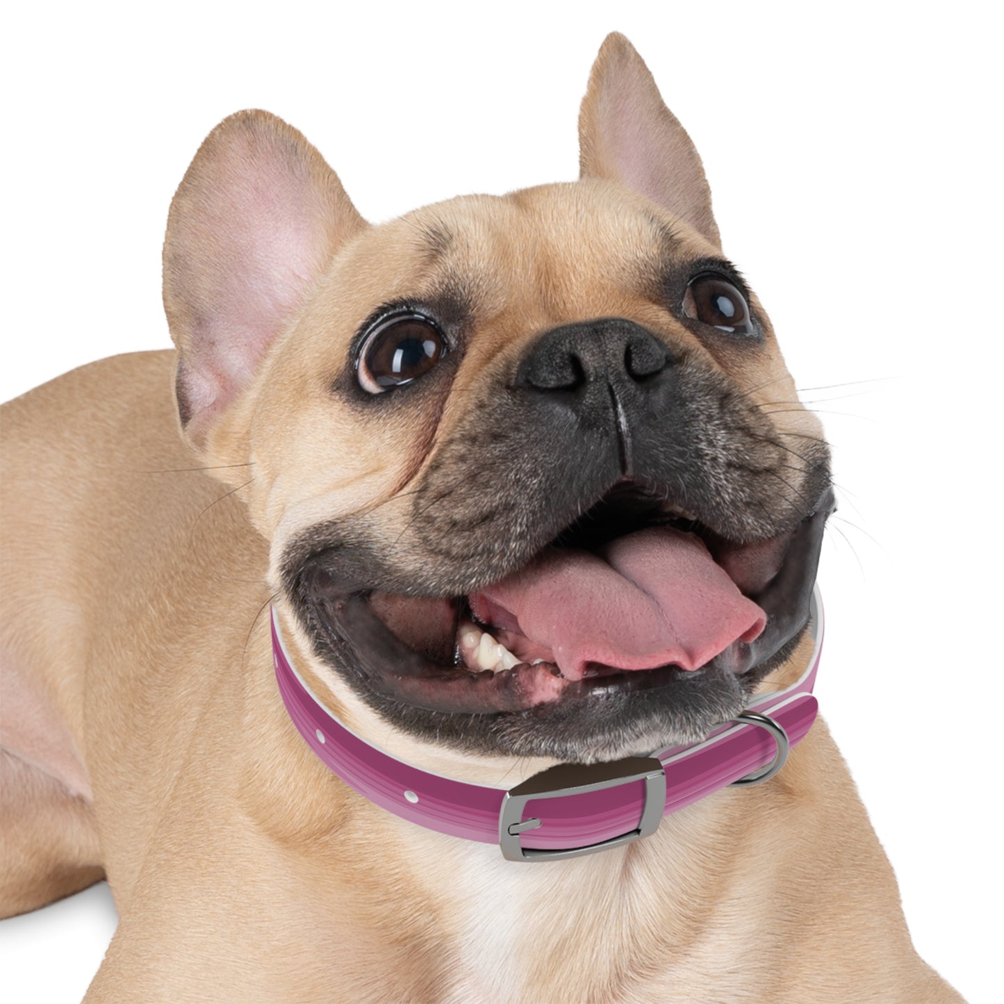Wavey Purple Wavey Small Dog Collar