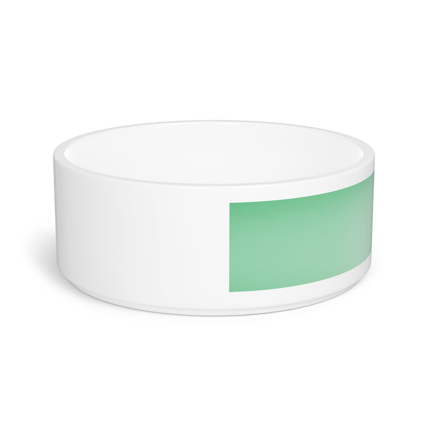Mint Fade 16 oz Pet Bowl