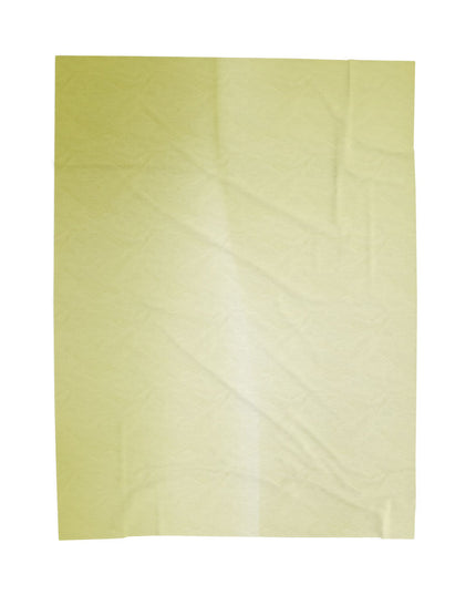 Lemon Fade Velveteen Plush Blanket, 60" x 80"