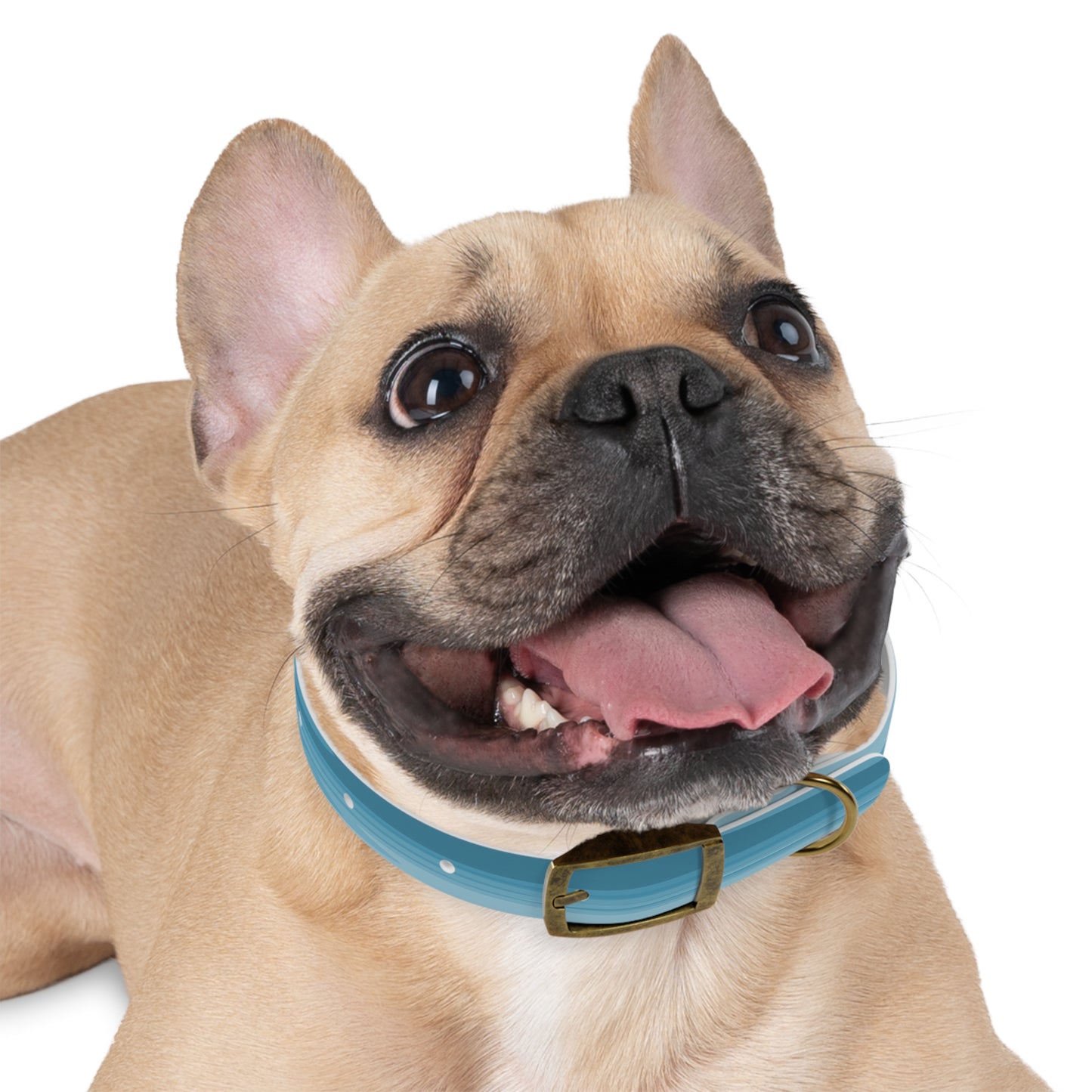 Sky Blue Wavey Small Dog Collar