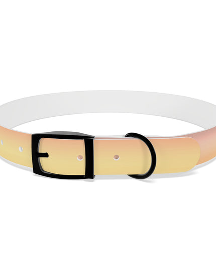 Hot Peach Fade Extra Large Dog Collar