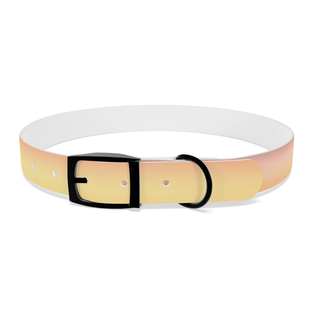Hot Peach Fade Extra Large Dog Collar