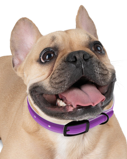 Wavey Purple Wavey Small Dog Collar