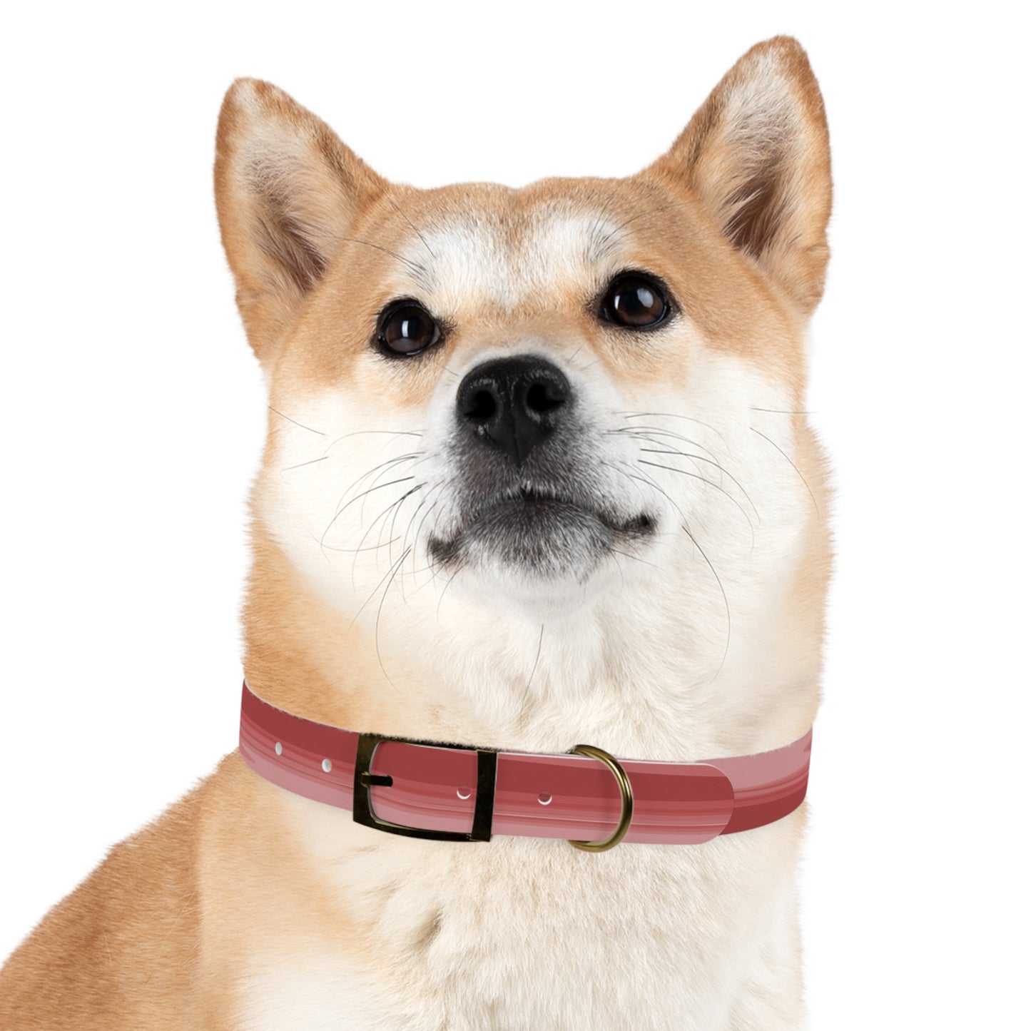 Power Red Wavey Extra Large Dog Collar