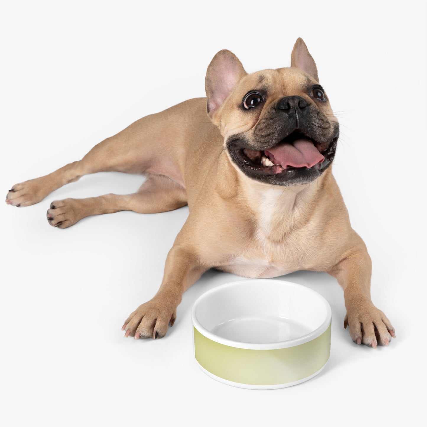 Lemon Fade 16 oz Pet Bowl