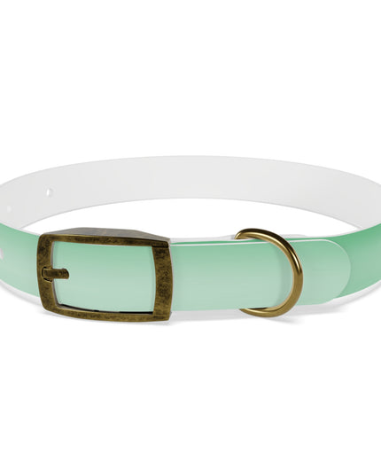 Mint Fade Small Dog Collar
