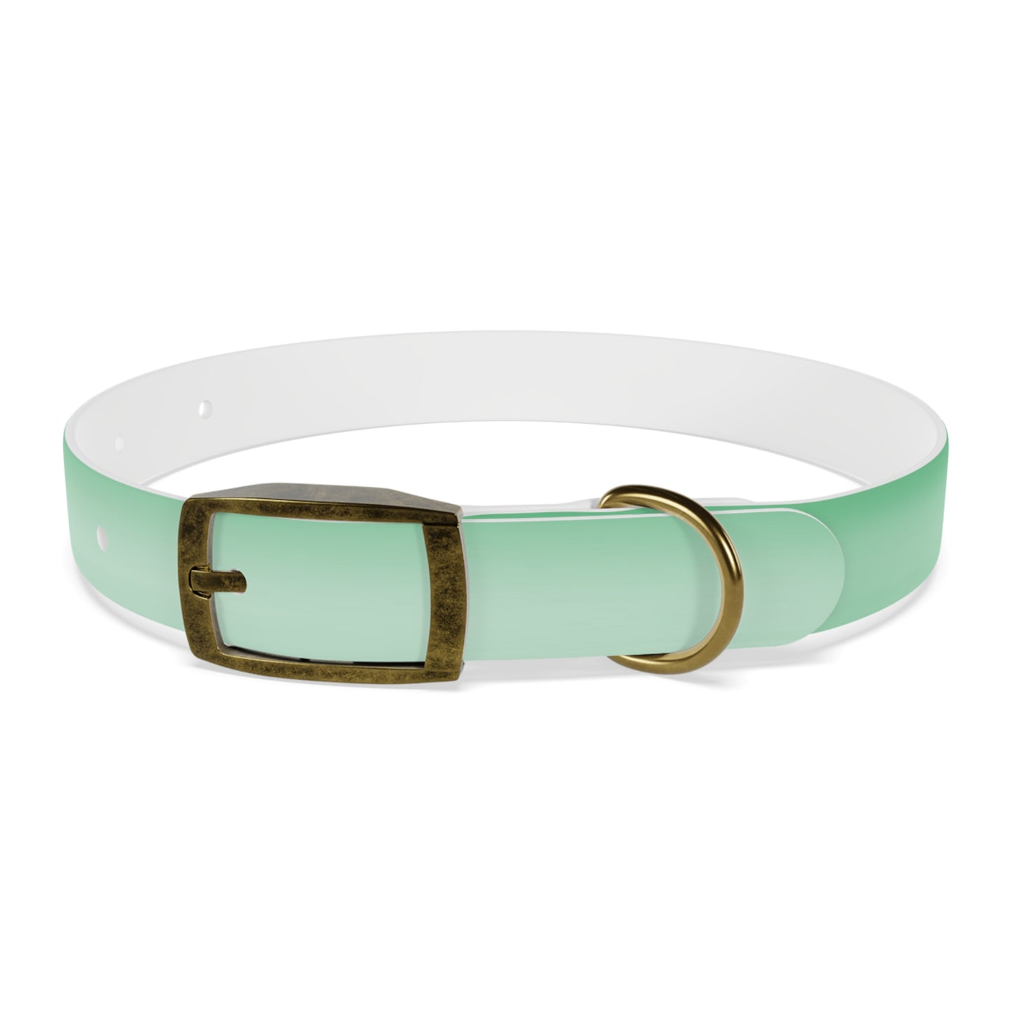Mint Fade Small Dog Collar