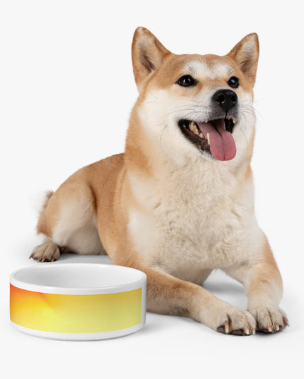 Phoenix Fade 16 oz Pet Bowl