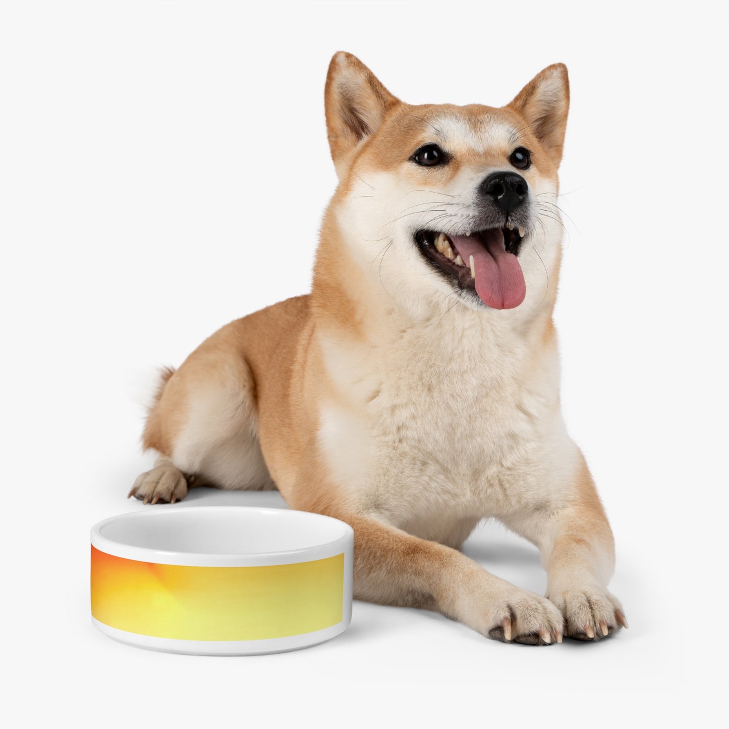 Phoenix Fade 16 oz Pet Bowl
