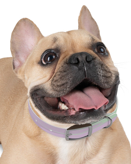 Pastel Lavender Purple and Soft Green Patches Small Dog Collar