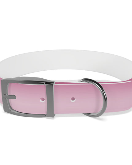 Pink Blush Fade Medium Dog Collar