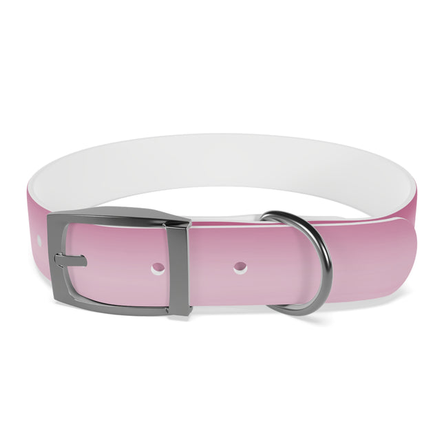 Pink Blush Fade Medium Dog Collar